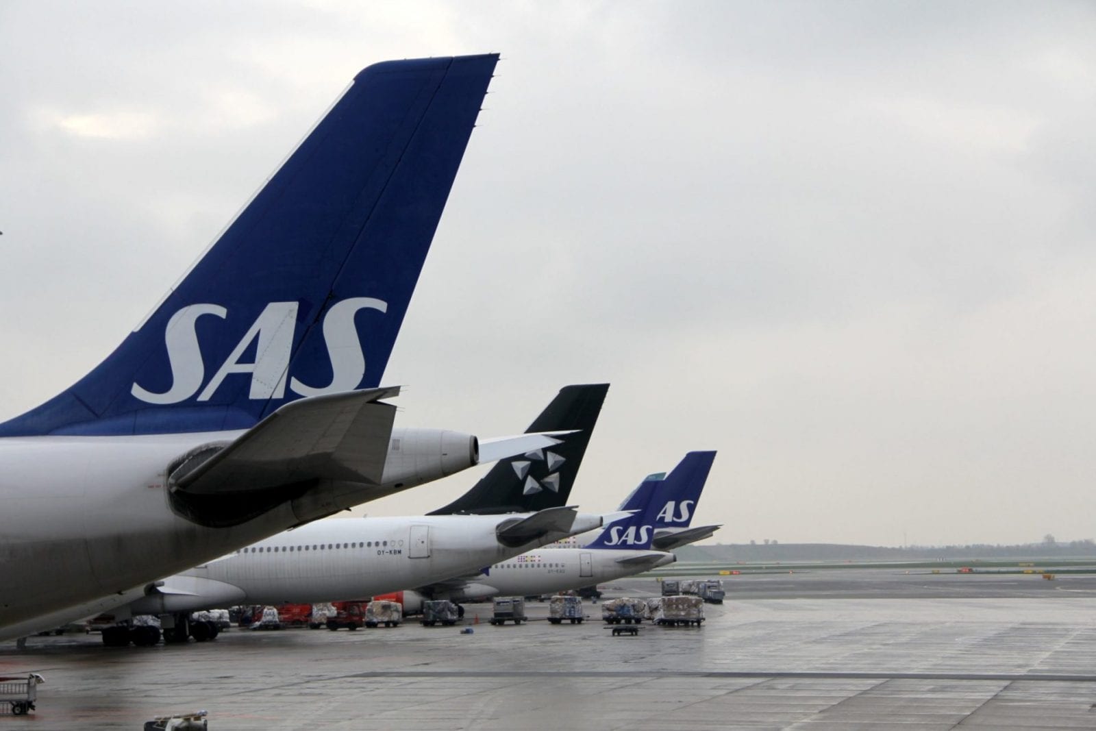 SAS Eurobonus alle Infos zum Vielfliegerprogramm reisetopia