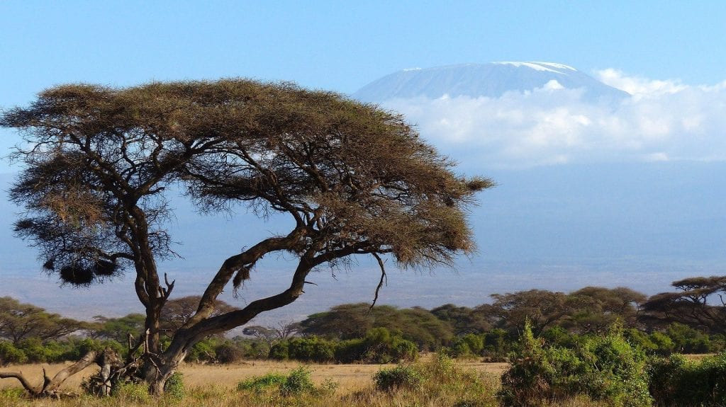 Tansania Kilimandscharo