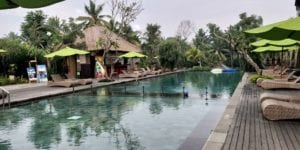 Element By Westin Bali Ubud Pool 1