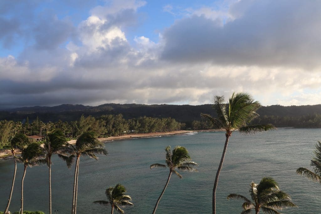 Linda Hawaii Strand Sonne Wochenrückblick Plmen 1