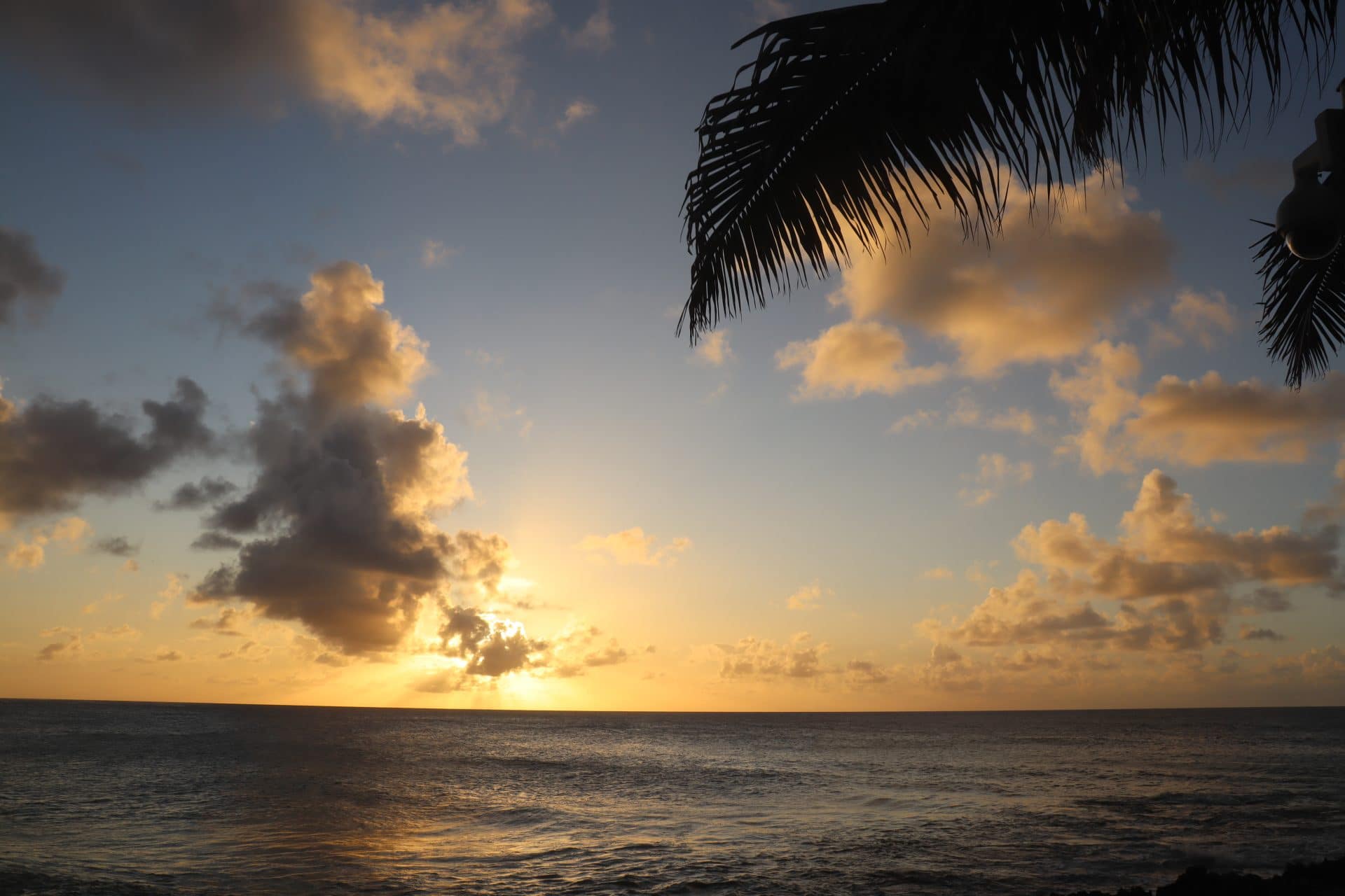 Linda Hawaii Strand Sonne Wochenrückblick Plmen 2