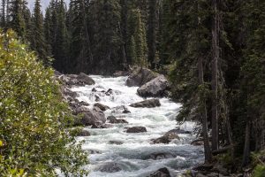 Calgary, Alberta, Kanada