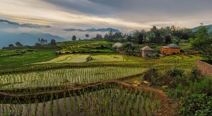 Vietnam Landscape