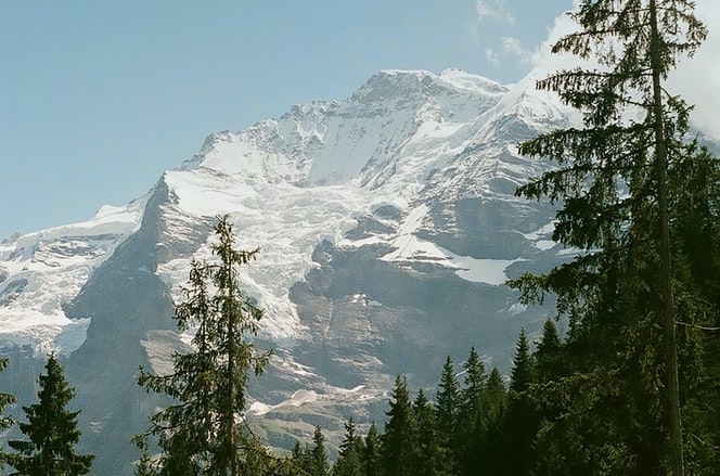 Schweiz Berge Wald Aussicht
