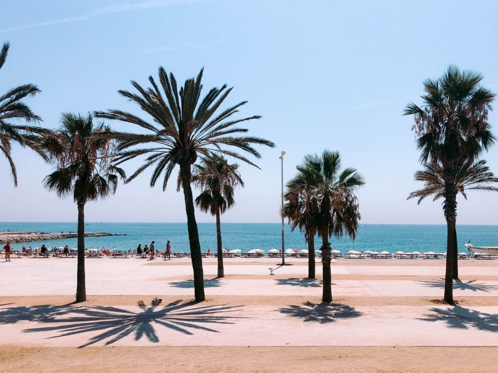Barcelona Spanien Promenade Palmen 1024x768