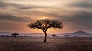 South Africa