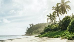 Seychelles Beach