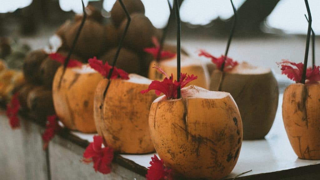 Seychelles Coconut