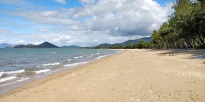 Palm Cove Beach