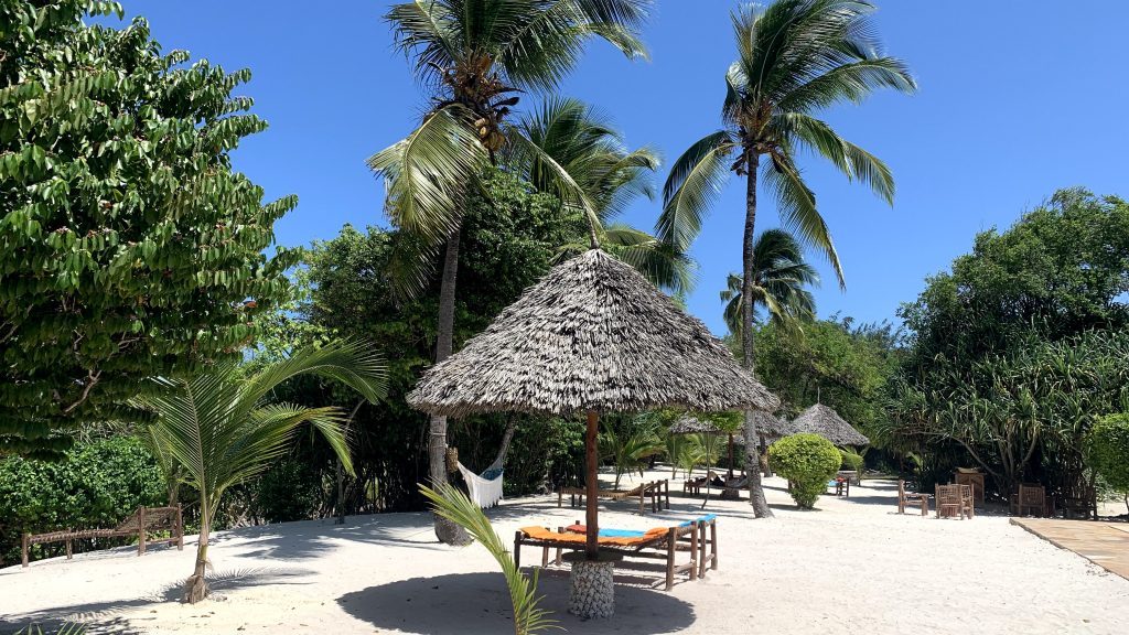Tikitam Palms Boutique Hotel Zanzibar Pool 1024x576
