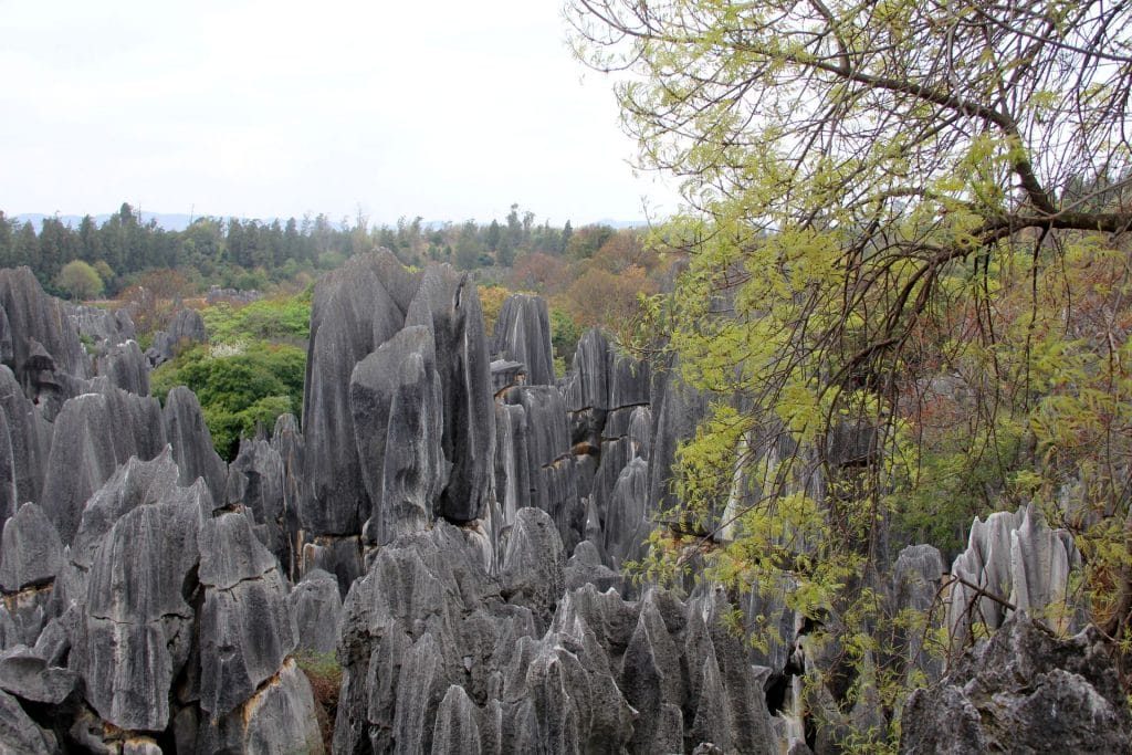 Shilin Stone Forest Kunming 24 1024x683