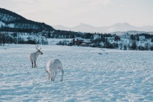 Febiyan FYM2wVWqE 8 Unsplash