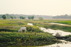 Myanmar