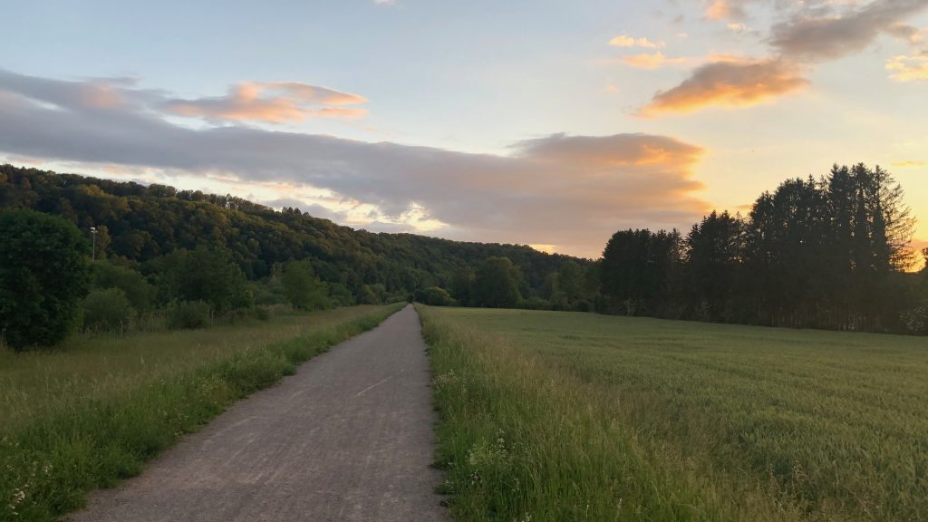 Schwarzwald2