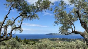 Skiathos Griechenland 1 1024x576