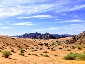 Rabah Al Shammary 7vOpzRF33Zo Unsplash