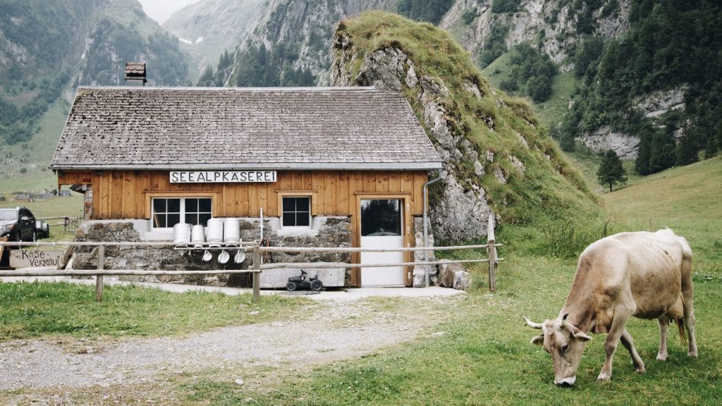 Schweiz Alpkäserei