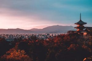 Su San Lee E EWwM29wfU Unsplash