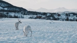 Tromso Norway