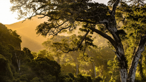 Suedafrika Natur