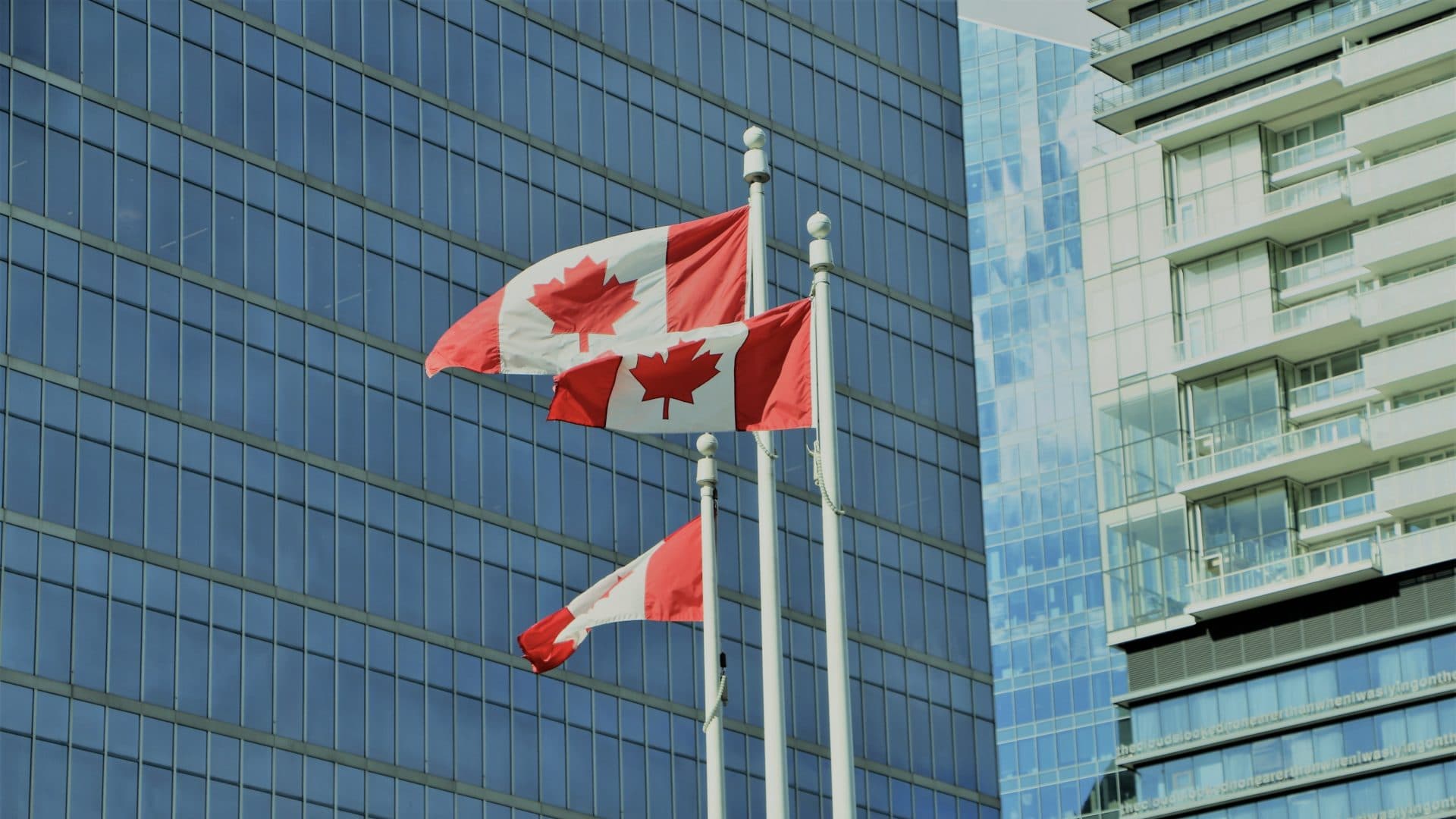 Kanada Flagge Lian Tomtit Unsplash