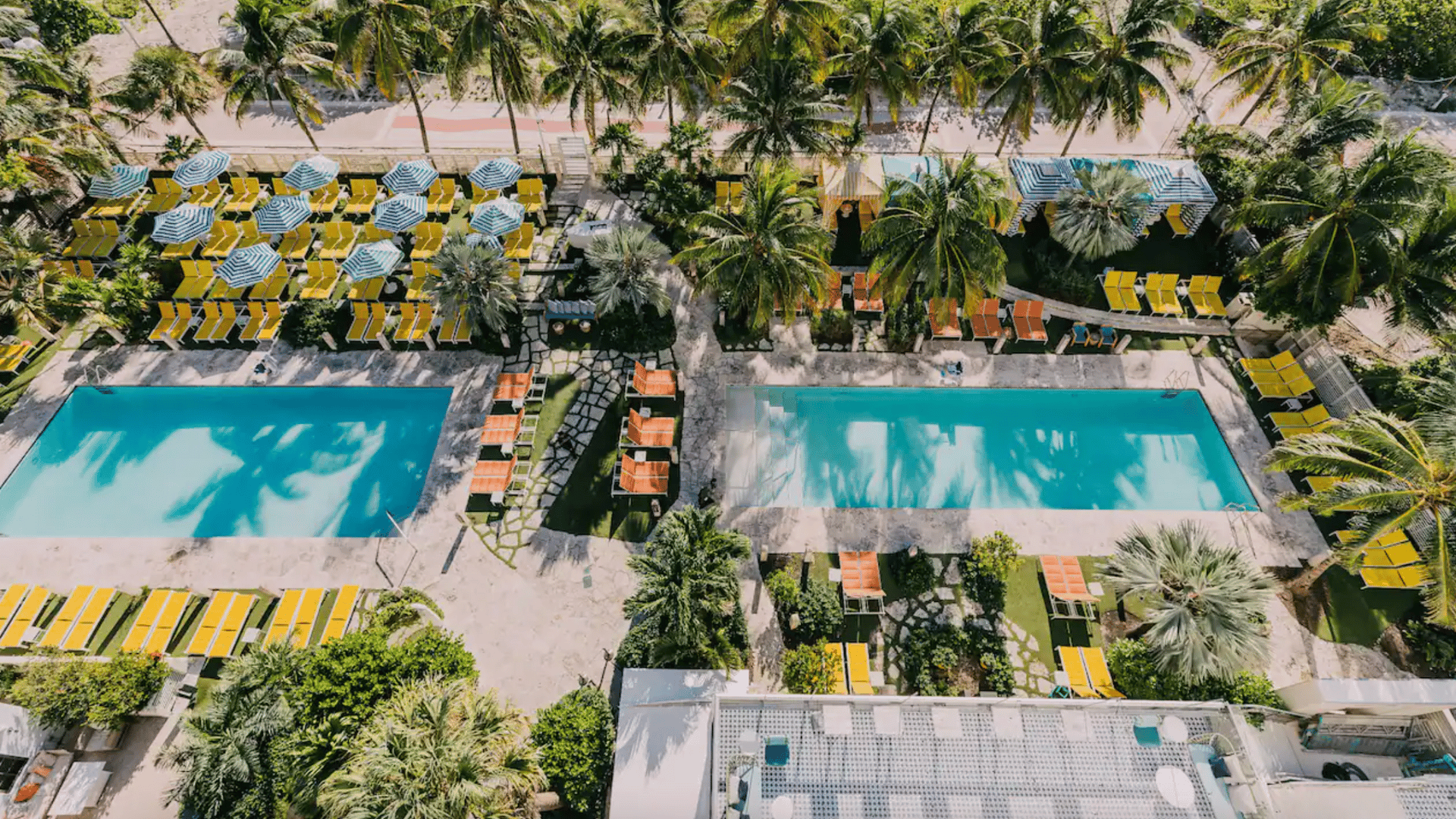 The Confident Miami Beach, Hyatt Hotel Pool