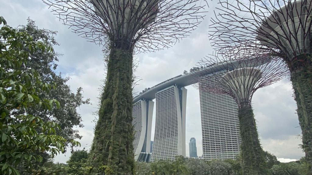 Gardens By The Bay Und Marina Bay Sands Singapur