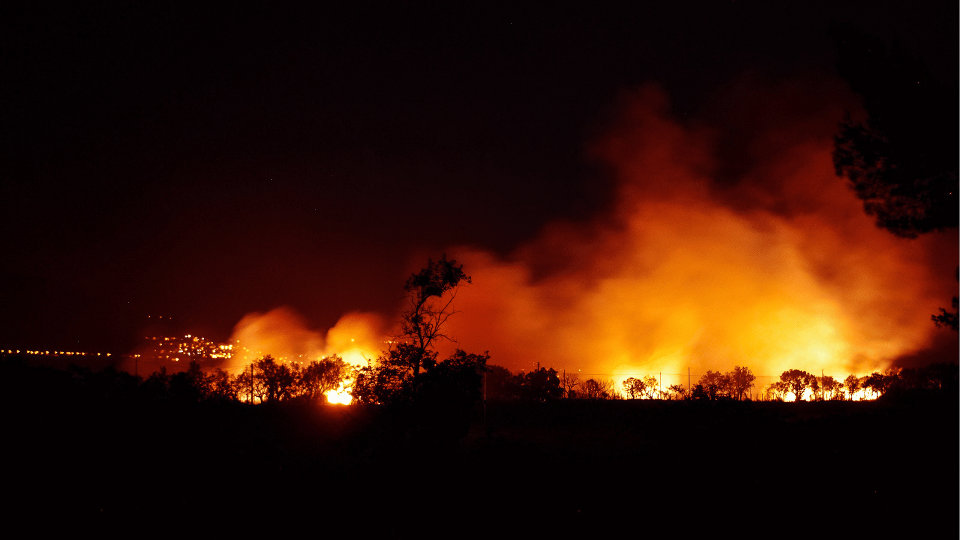 Waldbrand