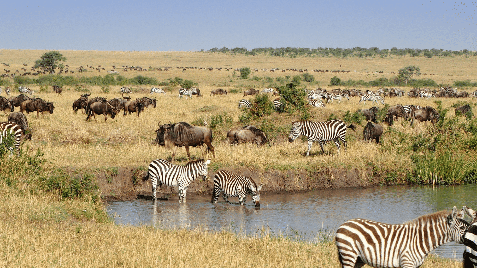 Nairobi