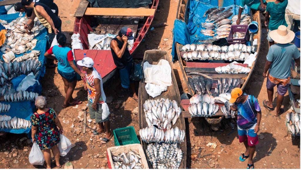 Fischmarkt Manaus