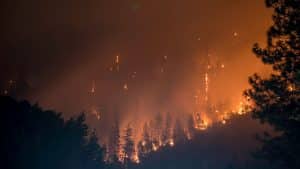 Waldbrand Griechenland Hohe Vorsicht