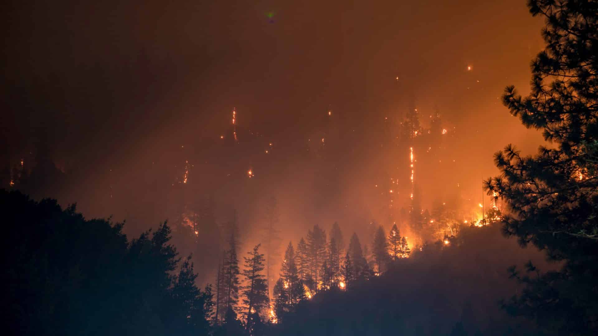 Waldbrand Griechenland Hohe Vorsicht