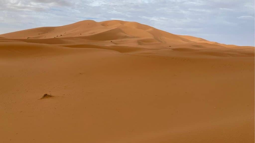 Sahara