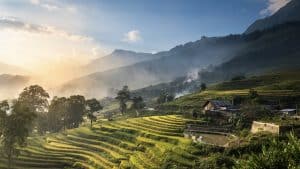 Rice Fields On Terraced In Sunset At SAPA.