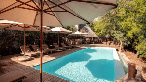 Kapama Buffalo Camp Afrika Pool