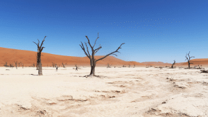 Reiseziel Namibia