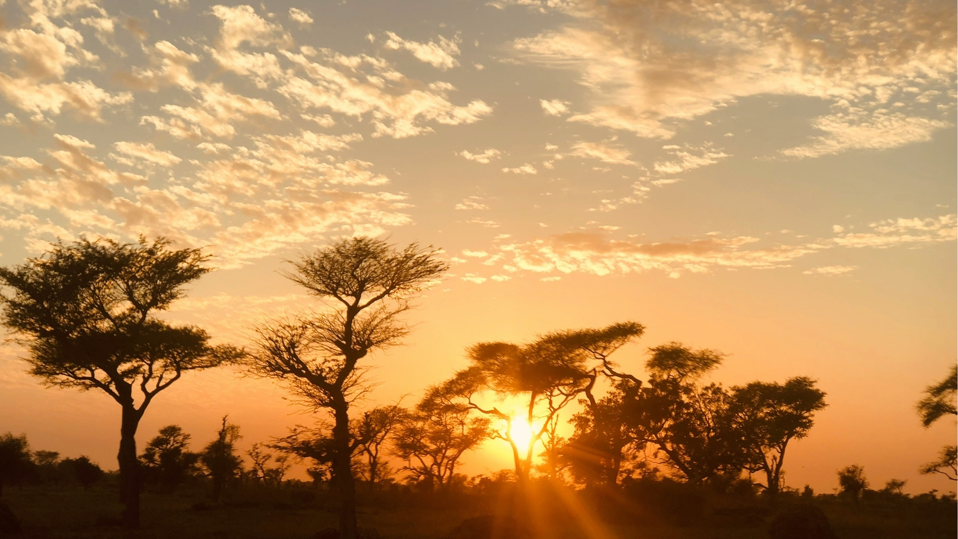 Dakar Senegal Awa Aidara